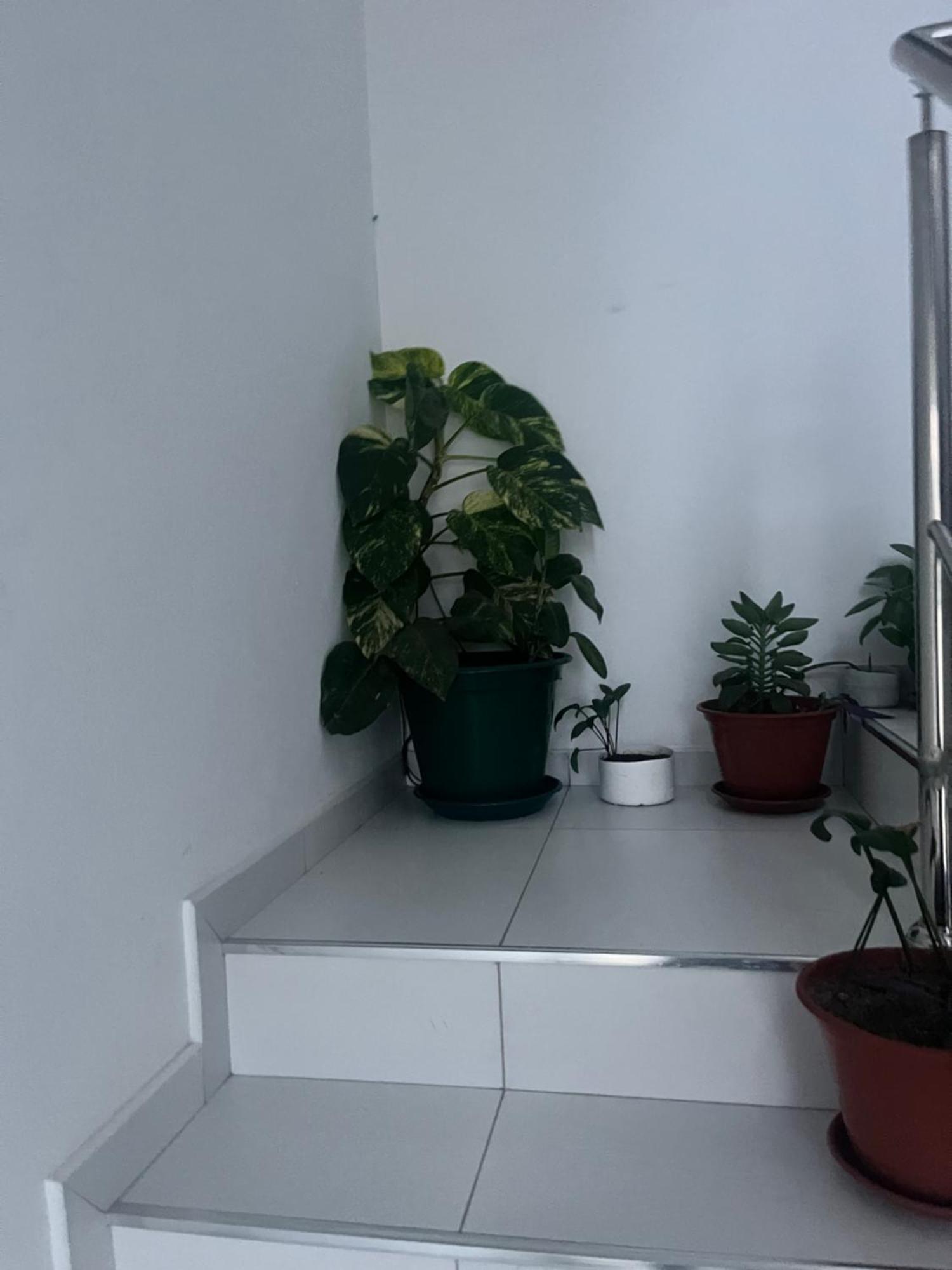 Apartamento Oasis De Retour Ponta Do Sol Exterior foto